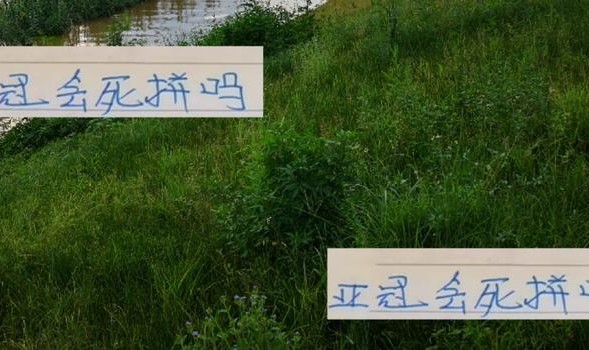 成都明确亚冠比赛不设定目标 压力轮到申花了 冲刺阶段会死拼吗
